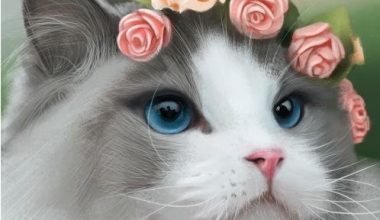 Effective Methods for Treating Hairball Syndrome in Cats - Pet Encyclopedia